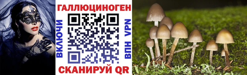 Псилоцибиновые грибы MAGIC MUSHROOMS Канаш